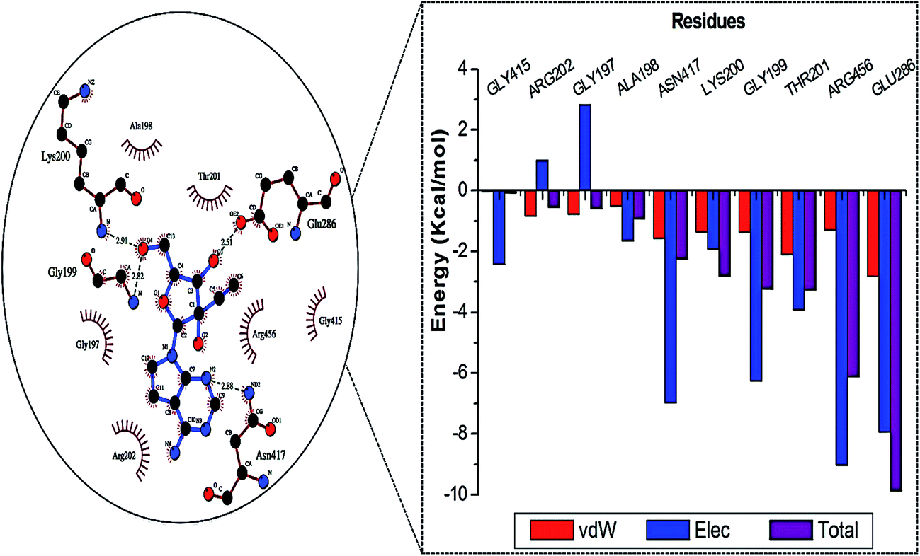 Delving Into Zika Virus Structural Dynamics – A Closer Look At Ns3