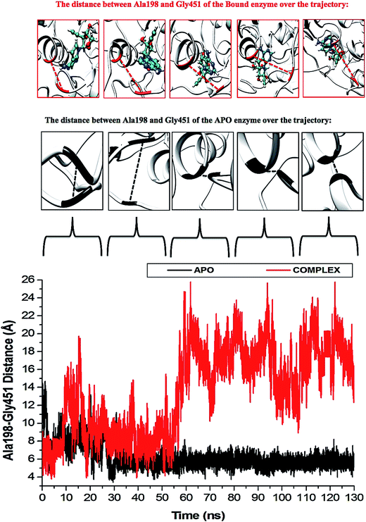 Delving Into Zika Virus Structural Dynamics – A Closer Look At Ns3