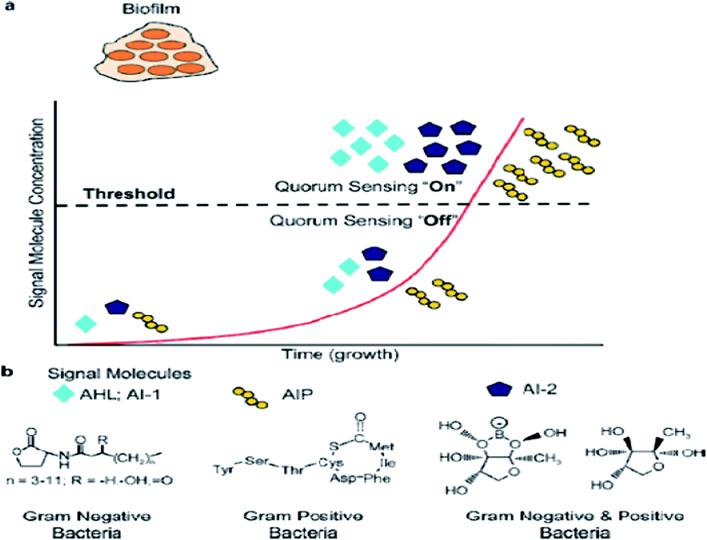 Biofilm formation and control strategies of foodborne pathogens: food