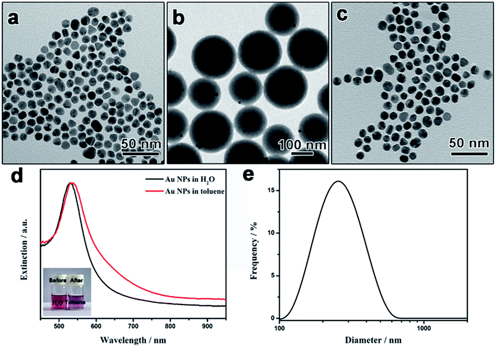 Dispersing Hydrophilic Nanoparticles In Nonaqueous Solvents With