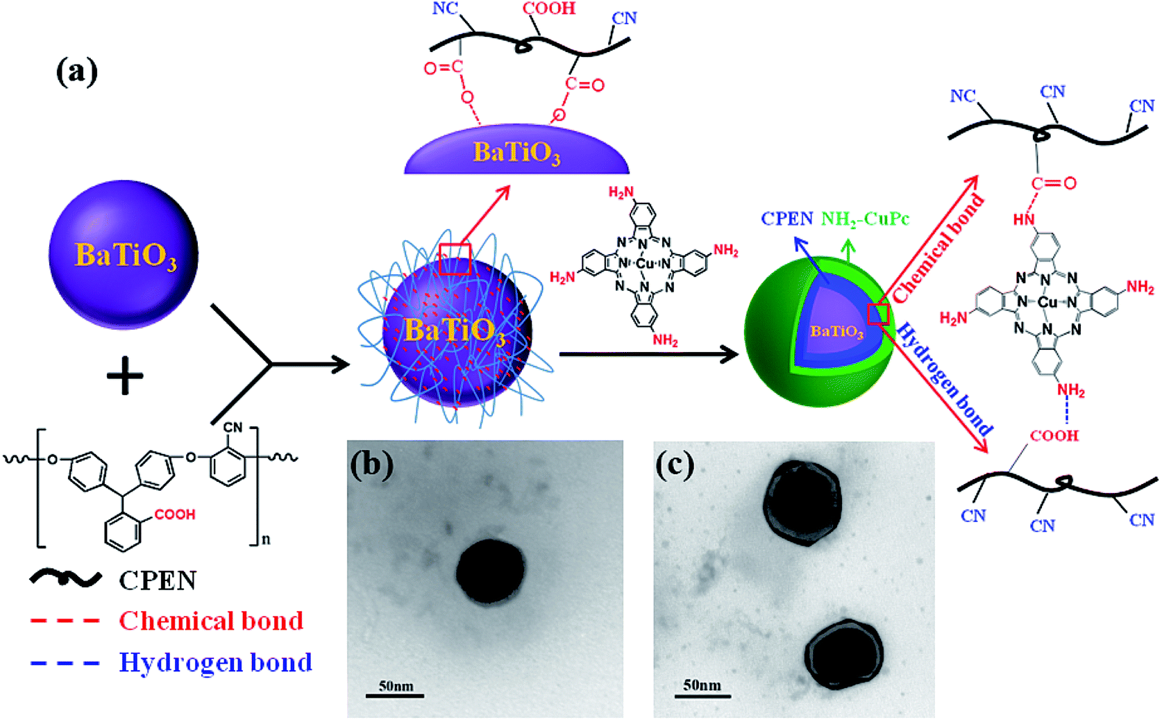 functionalized core shell nanoparticles
