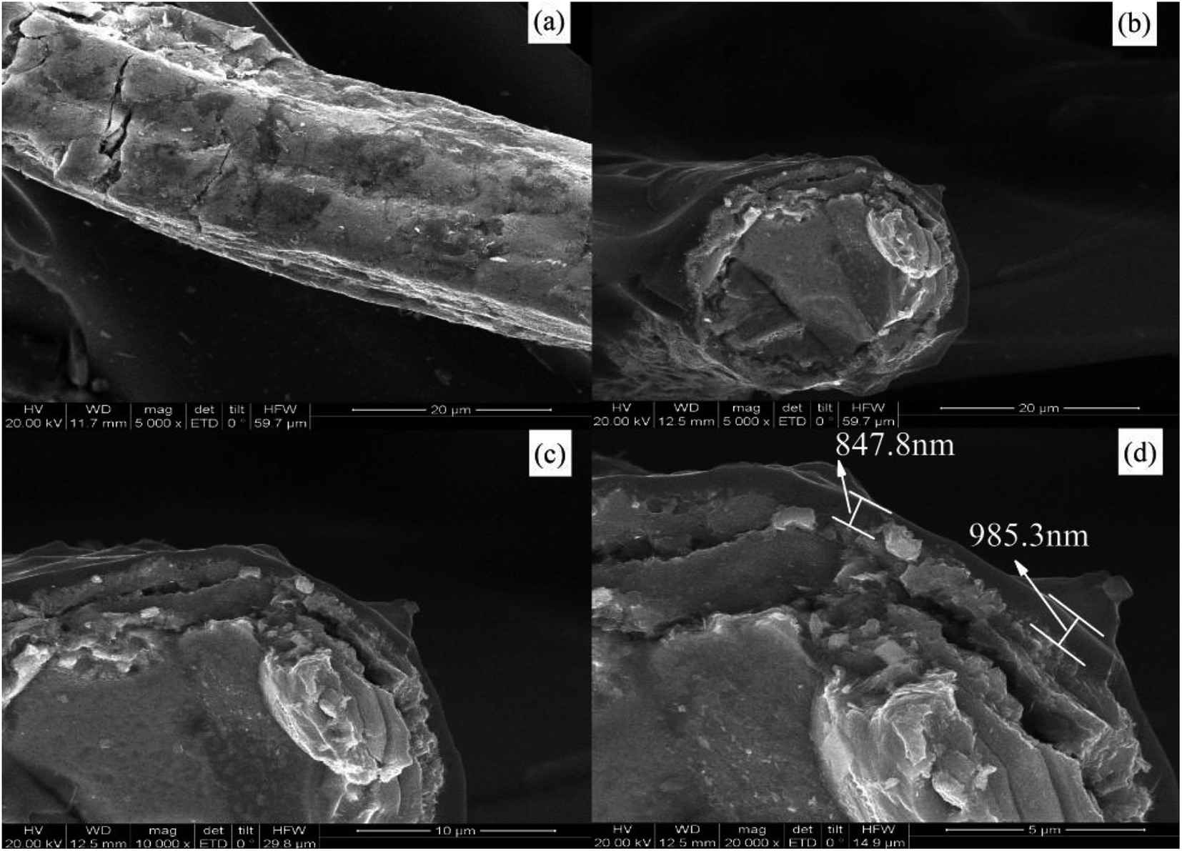 Sintered Metal Fibers@carbon Molecular Sieve Membrane (SMFs@CMSM ...