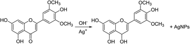 Green synthesis of silver nanoparticles using seed extract of Alpinia ...