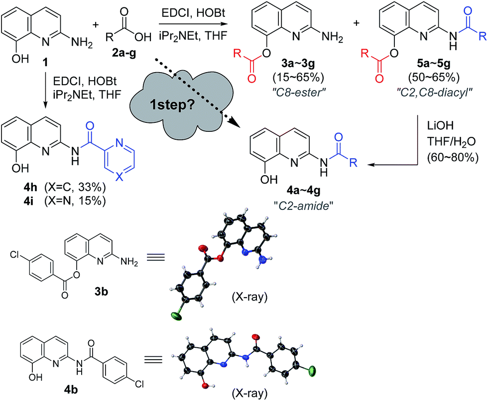 Chemoselective Acylation Of 2 Amino 8 Quinolinol In The Generation Of C2 Amides Or C8 Esters Rsc Advances Rsc Publishing