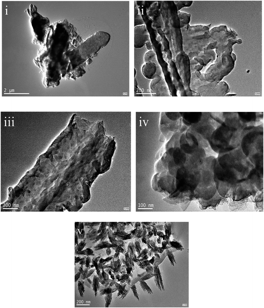 Graphitic carbon nitride nanosheets obtained by liquid stripping as ...