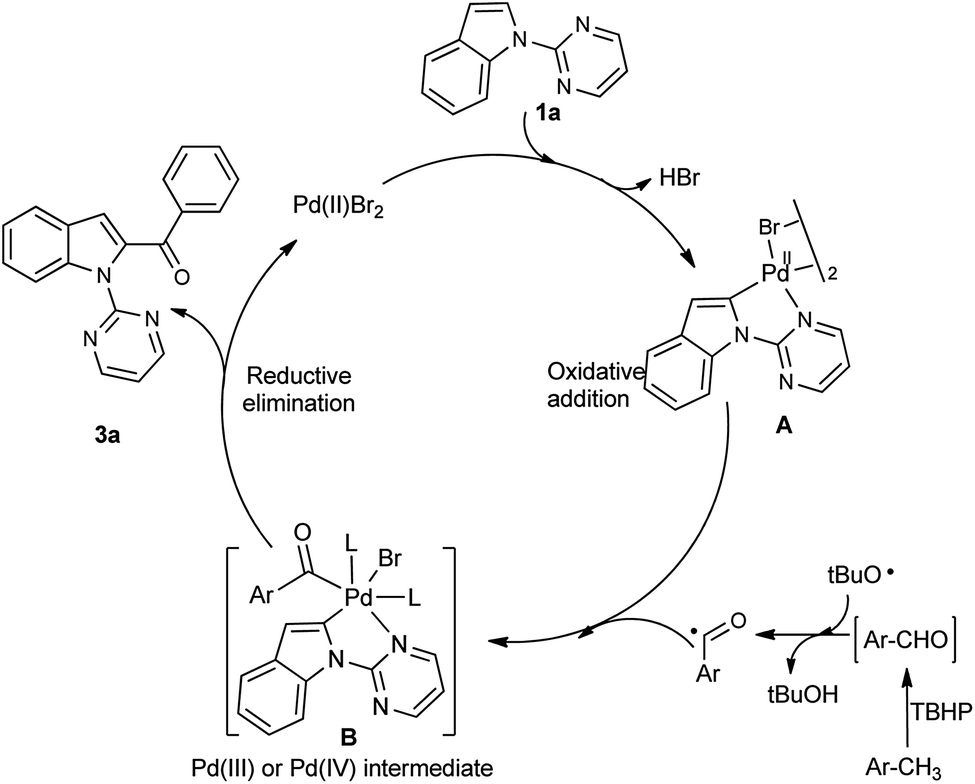 Direct C Acylation Of Indoles With Toluene Derivatives Via Pd Ii