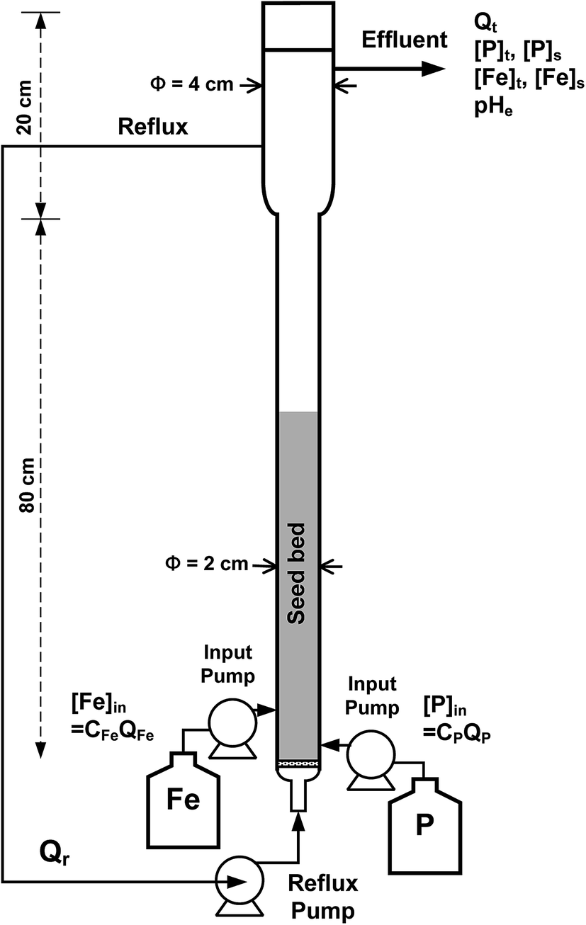 Phosphorus recovery as ferrous phosphate (vivianite) from wastewater ...