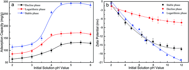 Algal biomass from the stable growth phase as a potential biosorbent ...