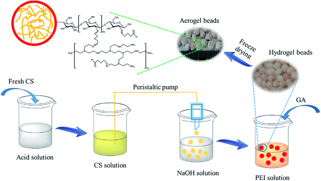 Preparation of PEI/CS aerogel beads with a high density of reactive ...