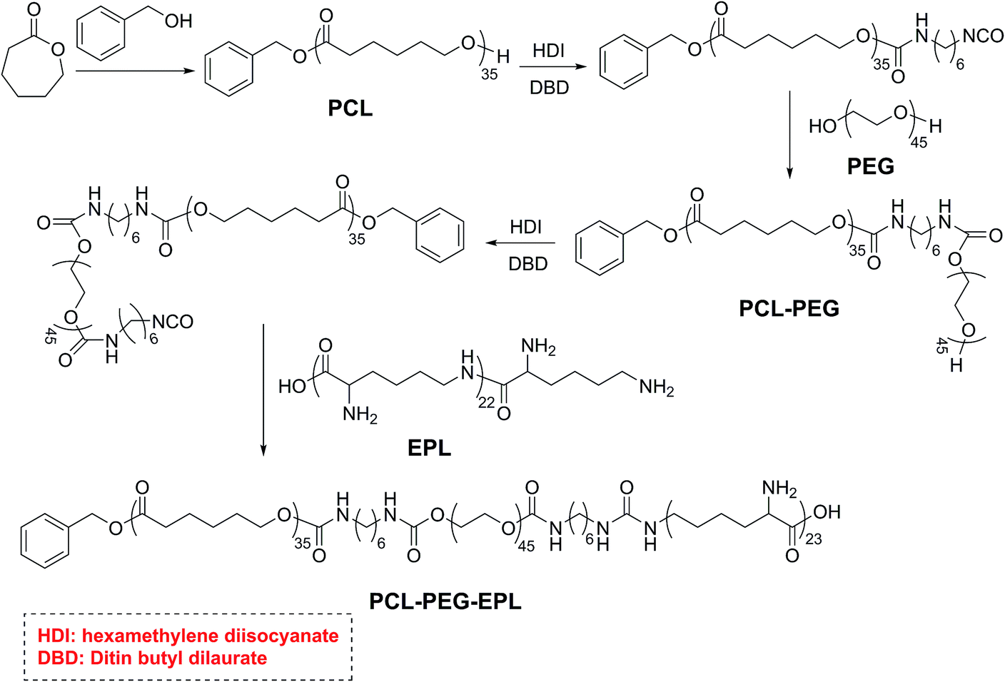 Noncytotoxic Polycaprolactone-polyethyleneglycol-ε-poly( L -lysine ...