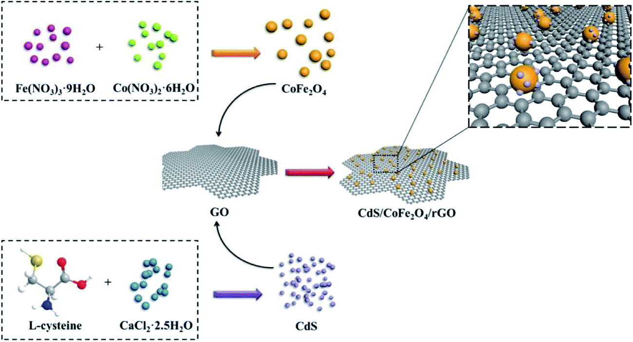 The fabrication of CdS/CoFe 2 O 4 /rGO photocatalysts to improve the ...