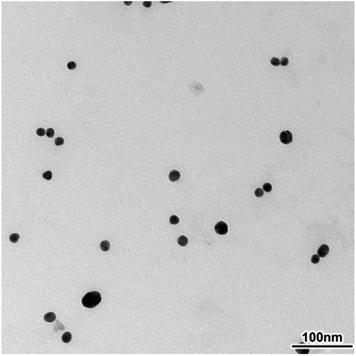 Dioxygen insensitive C 70 /AuNPs hybrid system for rapid and ...