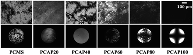 Liquid crystal alignment behaviors on capsaicin substituted polystyrene ...