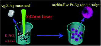 Laser irradiation-induced construction of Pt/Ag bimetallic nanourchins ...