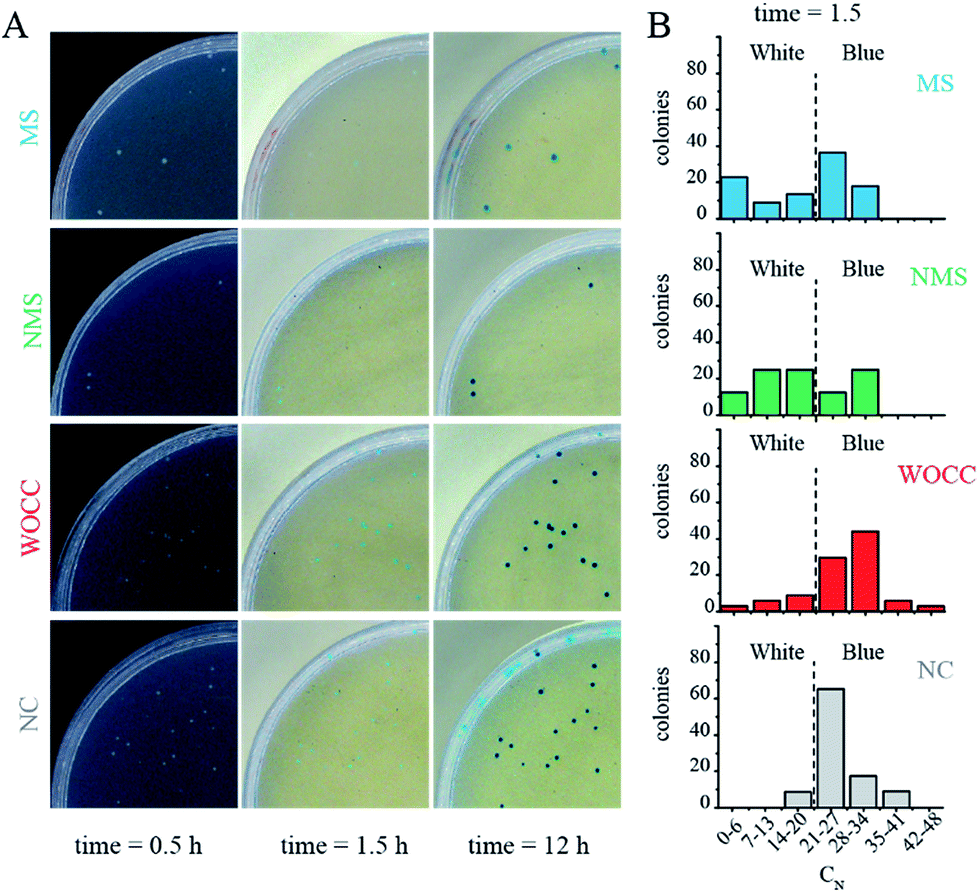 blue-white-screening-as-a-new-readout-for-deoxyribozyme-activity-in