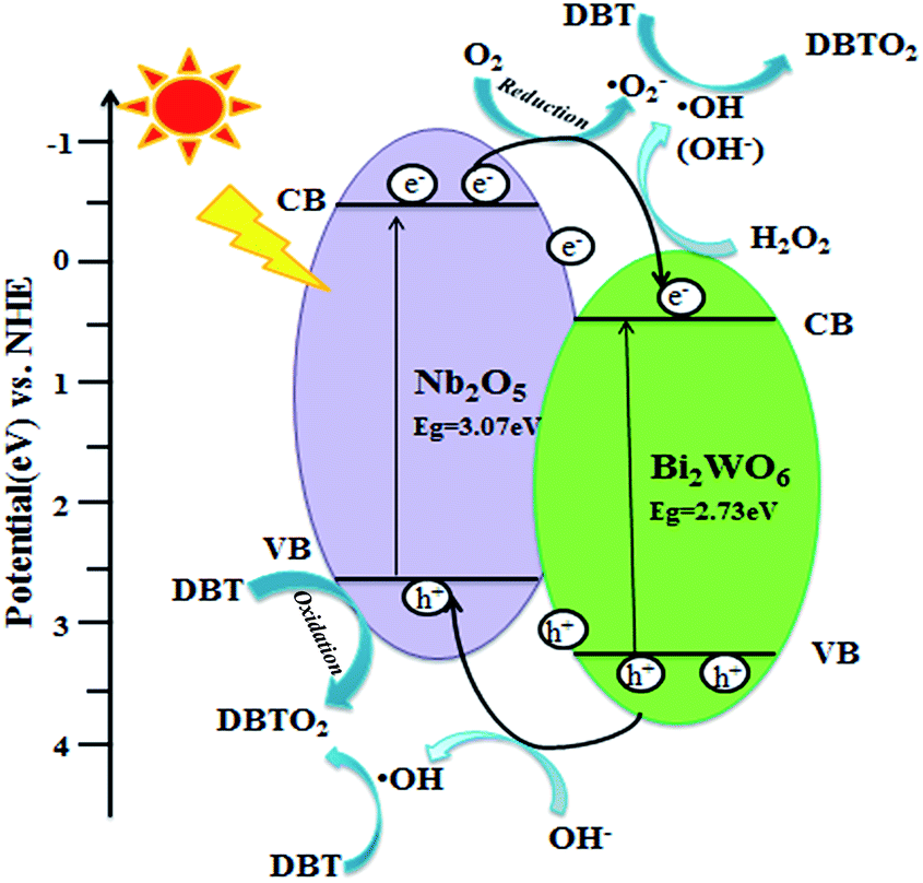 A novel Nb 2 O 5 /Bi 2 WO 6 heterojunction photocatalytic oxidative ...