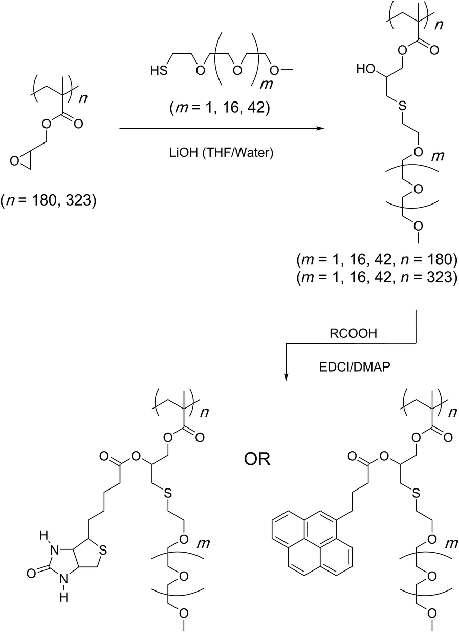 Postpolymerization modification reactions of poly(glycidyl