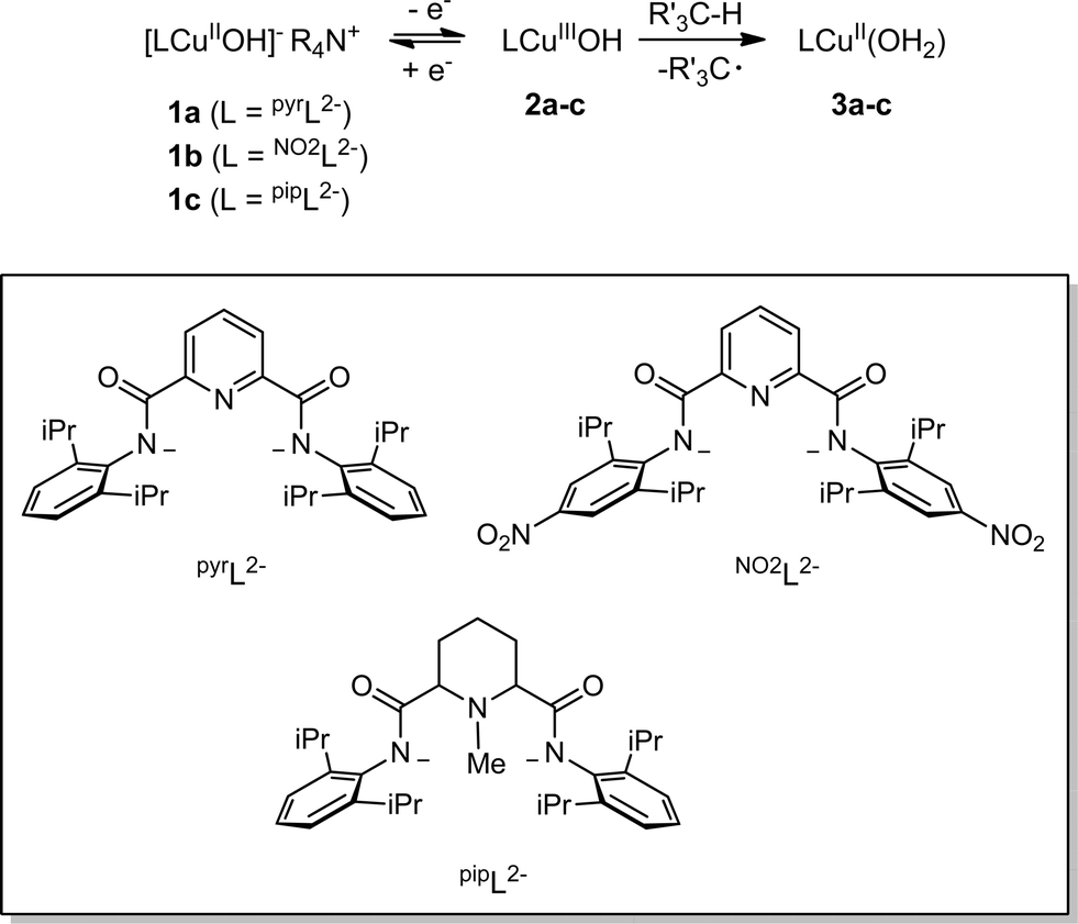Reactivity of the copper( iii )hydroxide unit with phenols Chemical