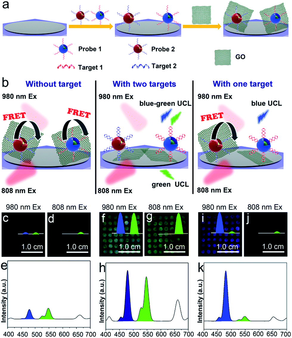 Naked Eye Detection Of Multiple Tumor Related MRNAs From Patients With Photonic Crystal