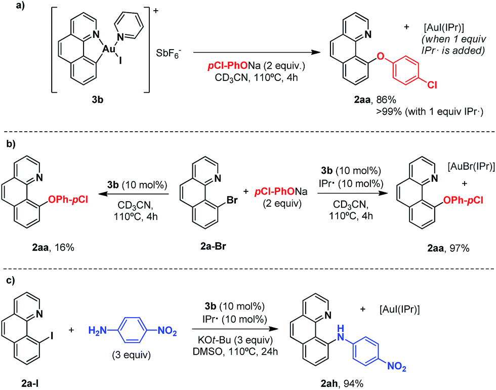 Au( iii )aryl intermediates in oxidantfree CN and CO crosscoupling