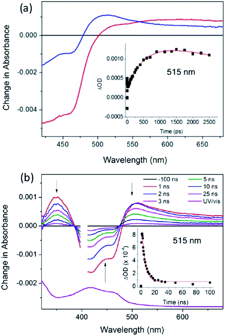 Photochemically active DNA-intercalating ruthenium and related ...