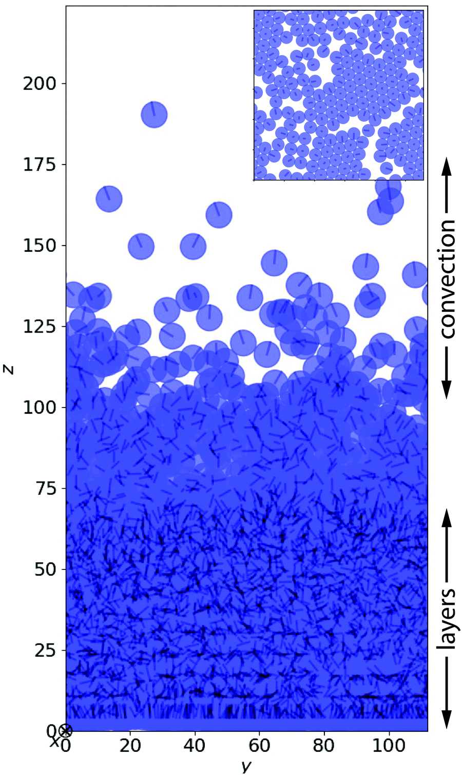 Collective Sedimentation Of Squirmers Under Gravity Soft Matter Rsc Publishing