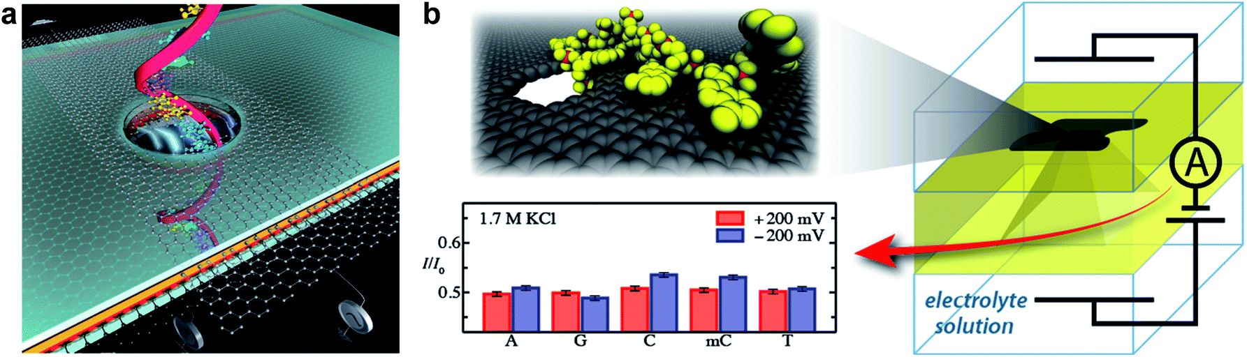 Tailoring pores in graphene-based materials: from generation to ...