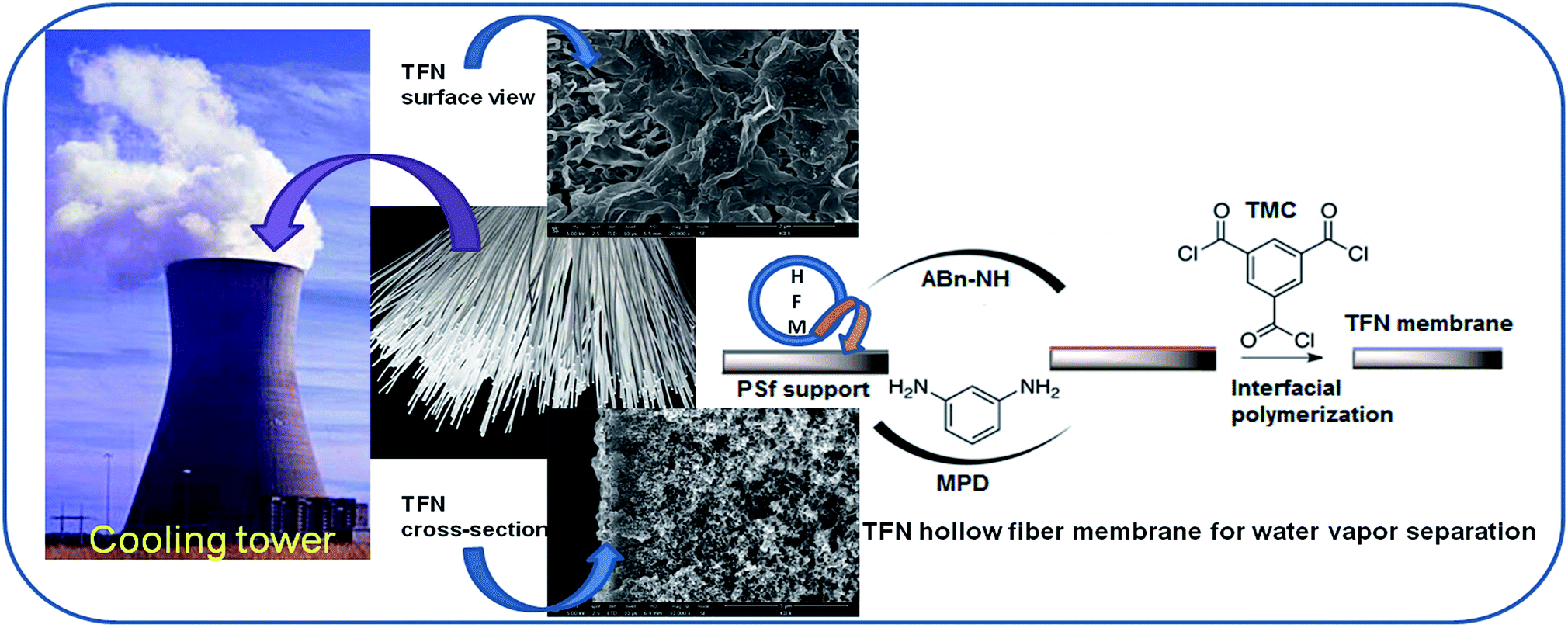 Thin Film Nanocomposite Tfn Hollow Fiber Membranes Incorporated - 