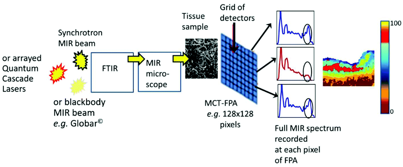 Prospective on using fibre mid-infrared supercontinuum laser ...