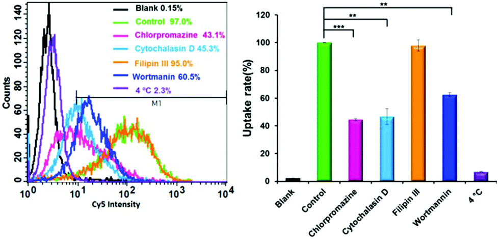 Stabilized calcium phosphate hybrid nanocomposite using a