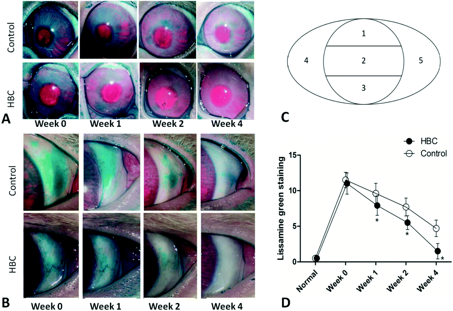 Treatment Of Dry Eye By Intracanalicular Injection Of A Thermosensitive Chitosan Based Hydrogel Evaluation Of Biosafety And Availability Biomaterials Science Rsc Publishing Doi 10 1039 C8bma