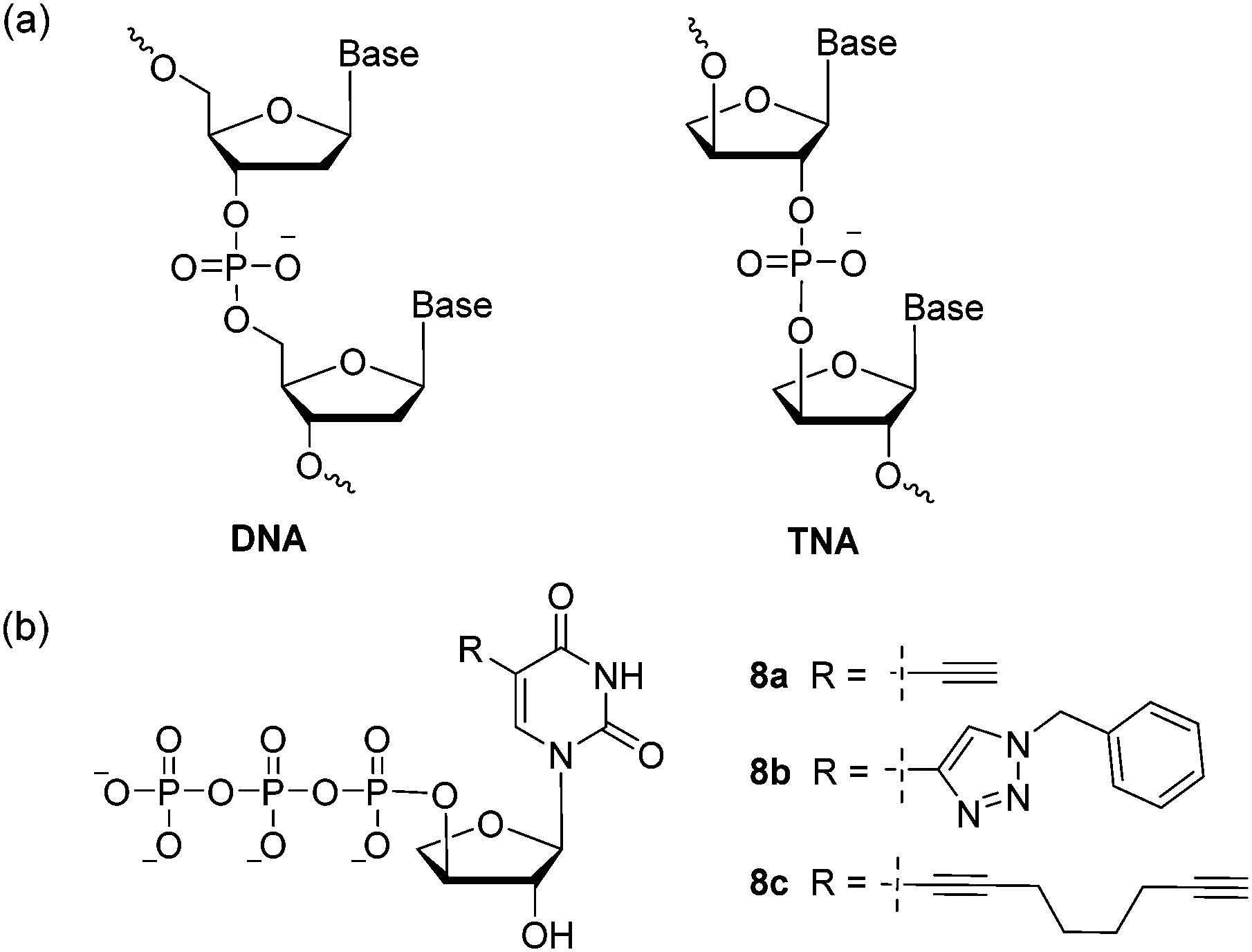 Expanding The Chemical Diversity Of Tna With Tutp Derivatives That Are Substrates For A Tna Polymerase Chemical Communications Rsc Publishing Doi 10 1039 C7ccc