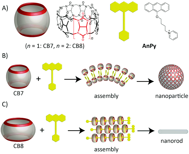 Host–Guest Complexation of Bisporphyrin Cleft and Electron-Deficient  Aromatic Guests