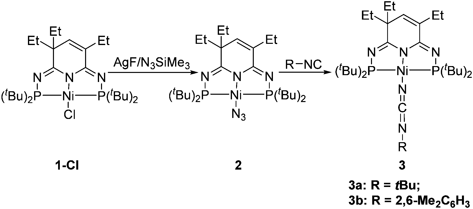Nitrogen atom transfer mediated by a new PN 3 P-pincer nickel core