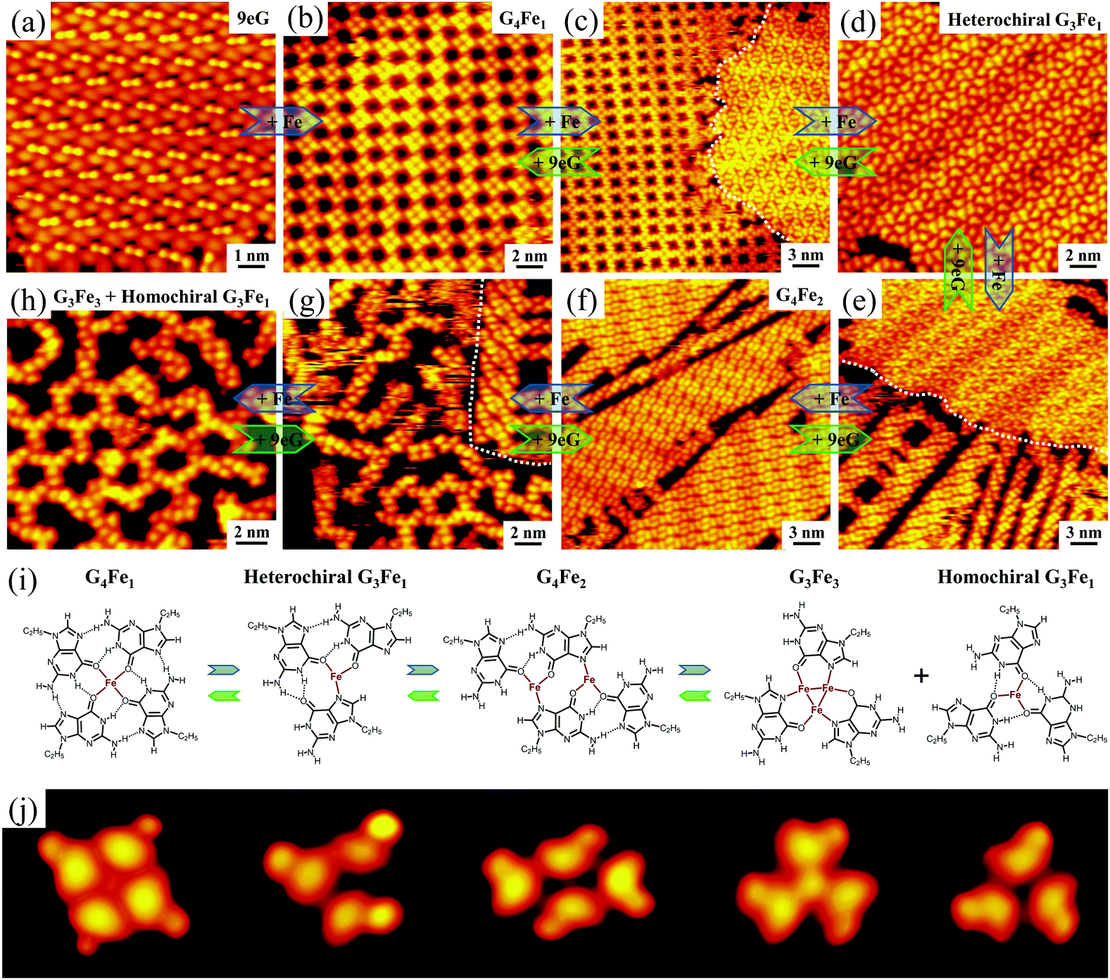 Two-dimensional self-assembled nanostructures of nucleobases and their  related derivatives on Au(111) - Chemical Communications (RSC Publishing)  DOI:10.1039/C8CC03585G