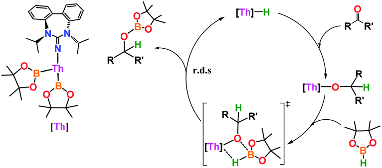 Catalytic Regeneration Of A Th H Bond From A Th O Bond Through A Mild And Chemoselective Carbonyl Hydroboration Chemical Communications Rsc Publishing Doi 10 1039 C8cca