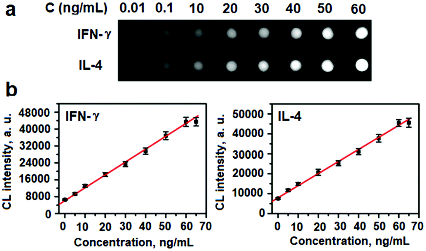 A Nanozyme Enabled Chemiluminescence Imaging Immunoassay For Multiplexed Cytokine Monitoring Chemical Communications Rsc Publishing Doi 10 1039 C8ccg