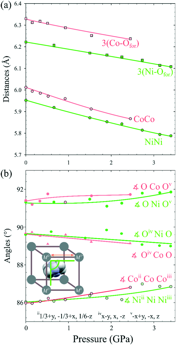 Framework and coordination strain in two isostructural hybrid 