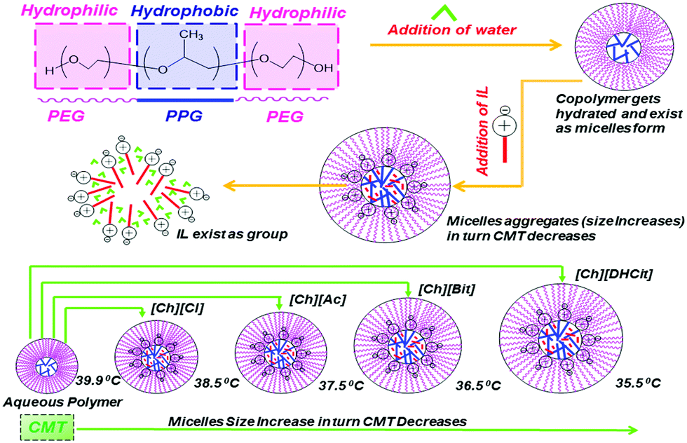 Influence of additives on thermoresponsive polymers in Influence of additives on thermoresponsive polymers in