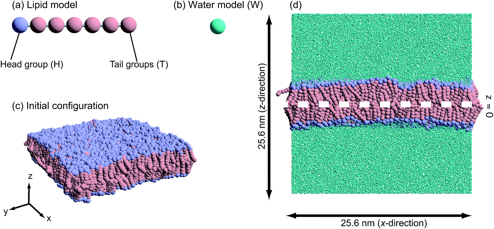 Relationship between water permeation and flip-flop motion in a bilayer  membrane - Physical Chemistry Chemical Physics (RSC Publishing)  DOI:10.1039/C8CP04610G