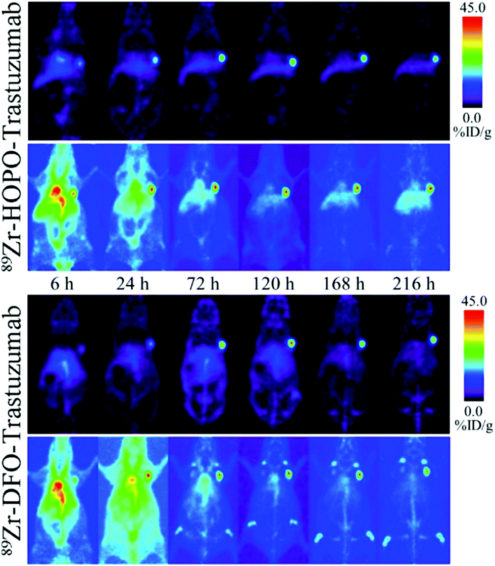 The chemistry of PET imaging with zirconium-89 - Chemical