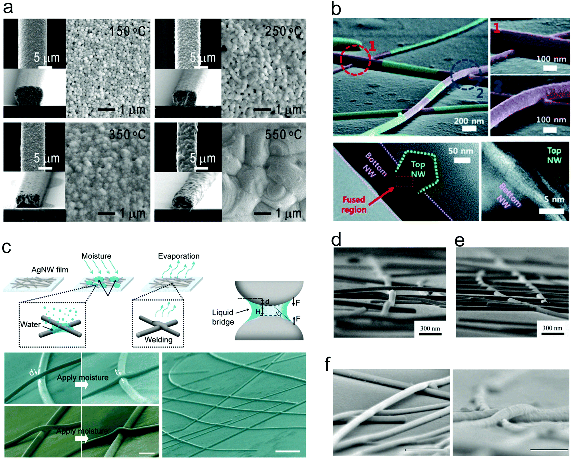 その他 123 Chemical formation of soft metal electrodes for flexible and