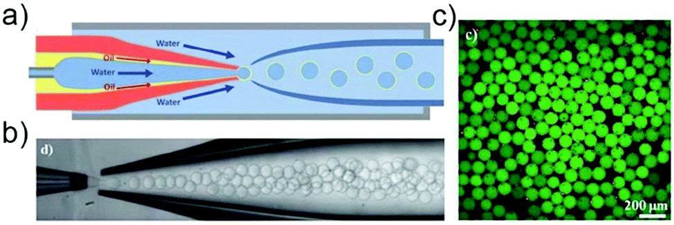 Microfluidic fabrication of microparticles for biomedical 