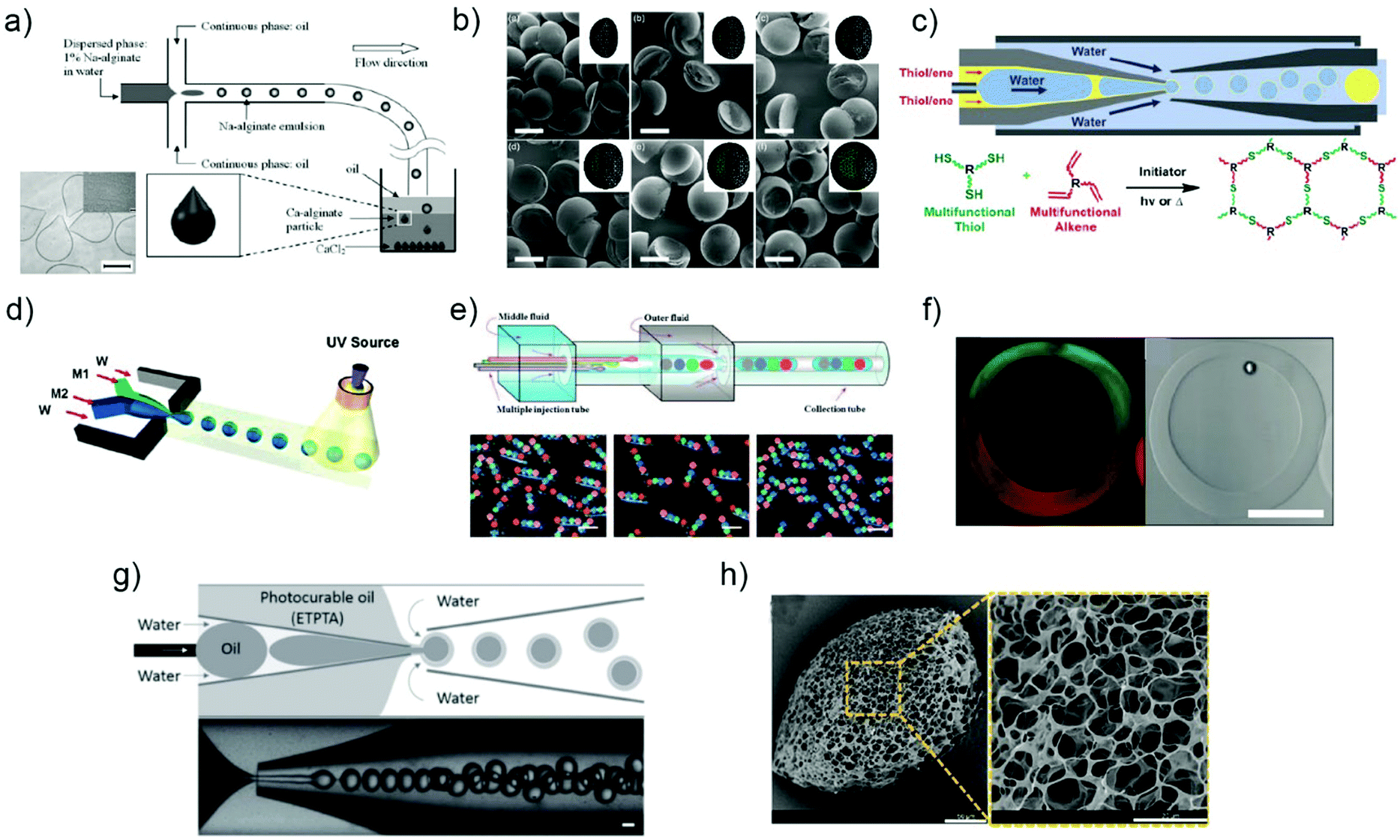 Microfluidic fabrication of microparticles for biomedical