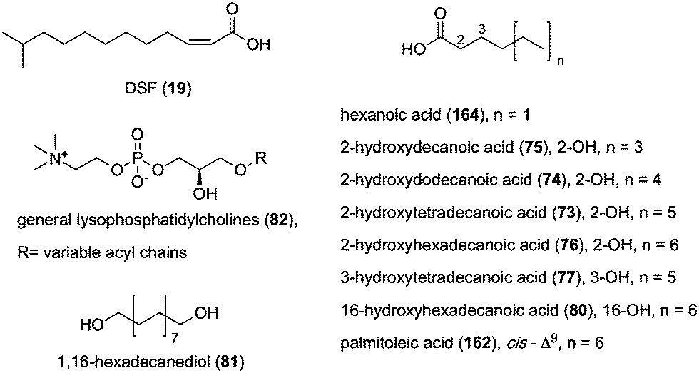 Chemical signaling involved in plant–microbe interactions 