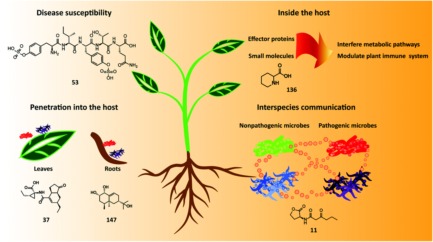 Chemical signaling involved in plant–microbe interactions 