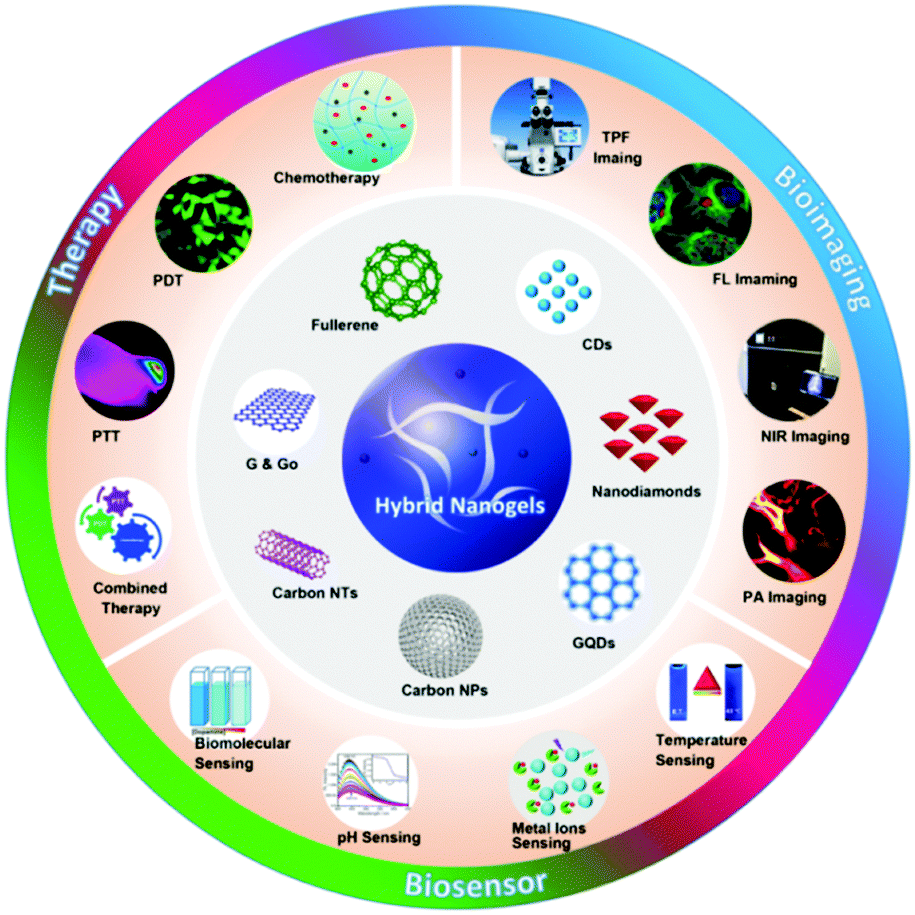 Carbon-based hybrid nanogels: a synergistic nanoplatform for 