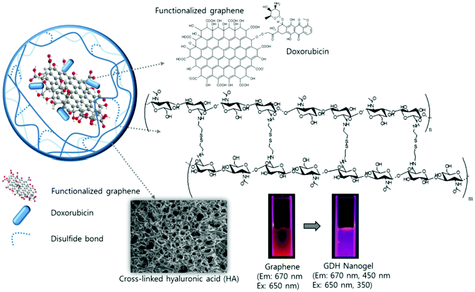 Carbon-based hybrid nanogels: a synergistic nanoplatform for 