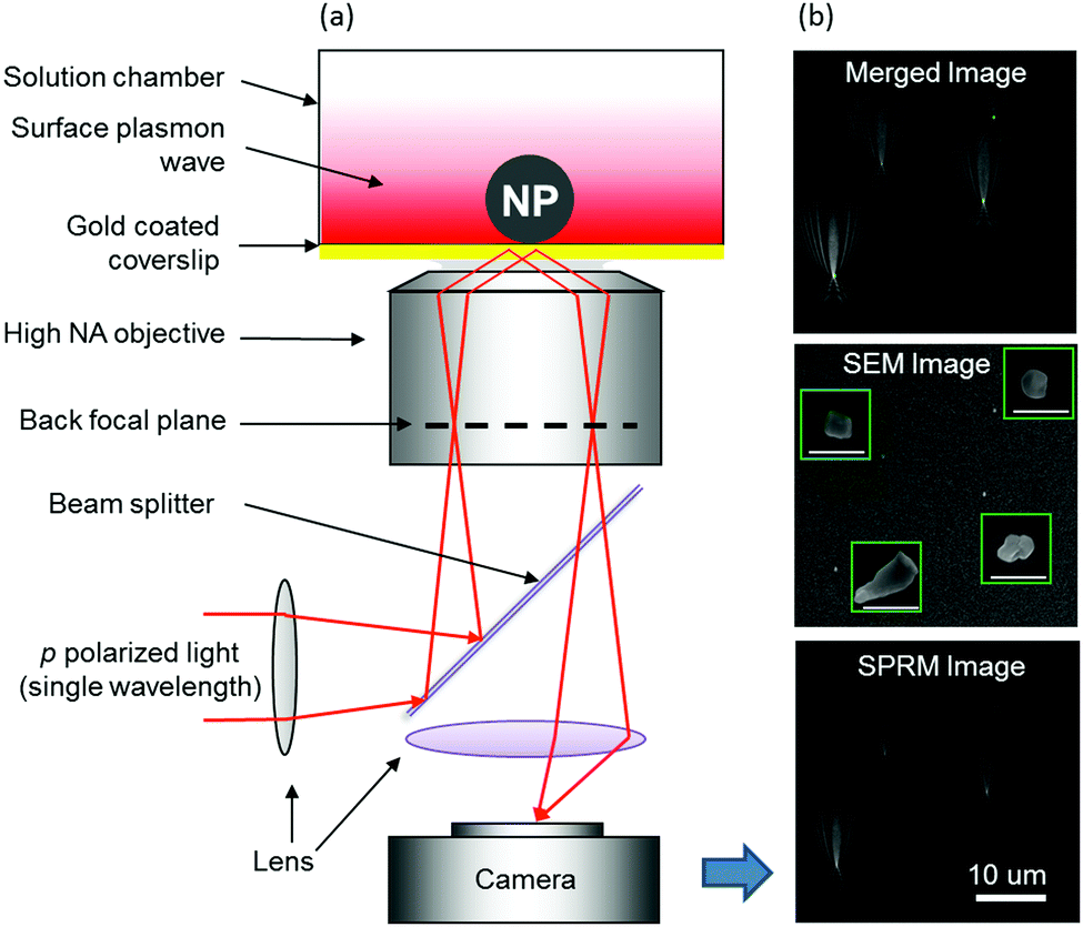 Imaging the chemical activity of single nanoparticles with Imaging the chemical activity of single nanoparticles with
