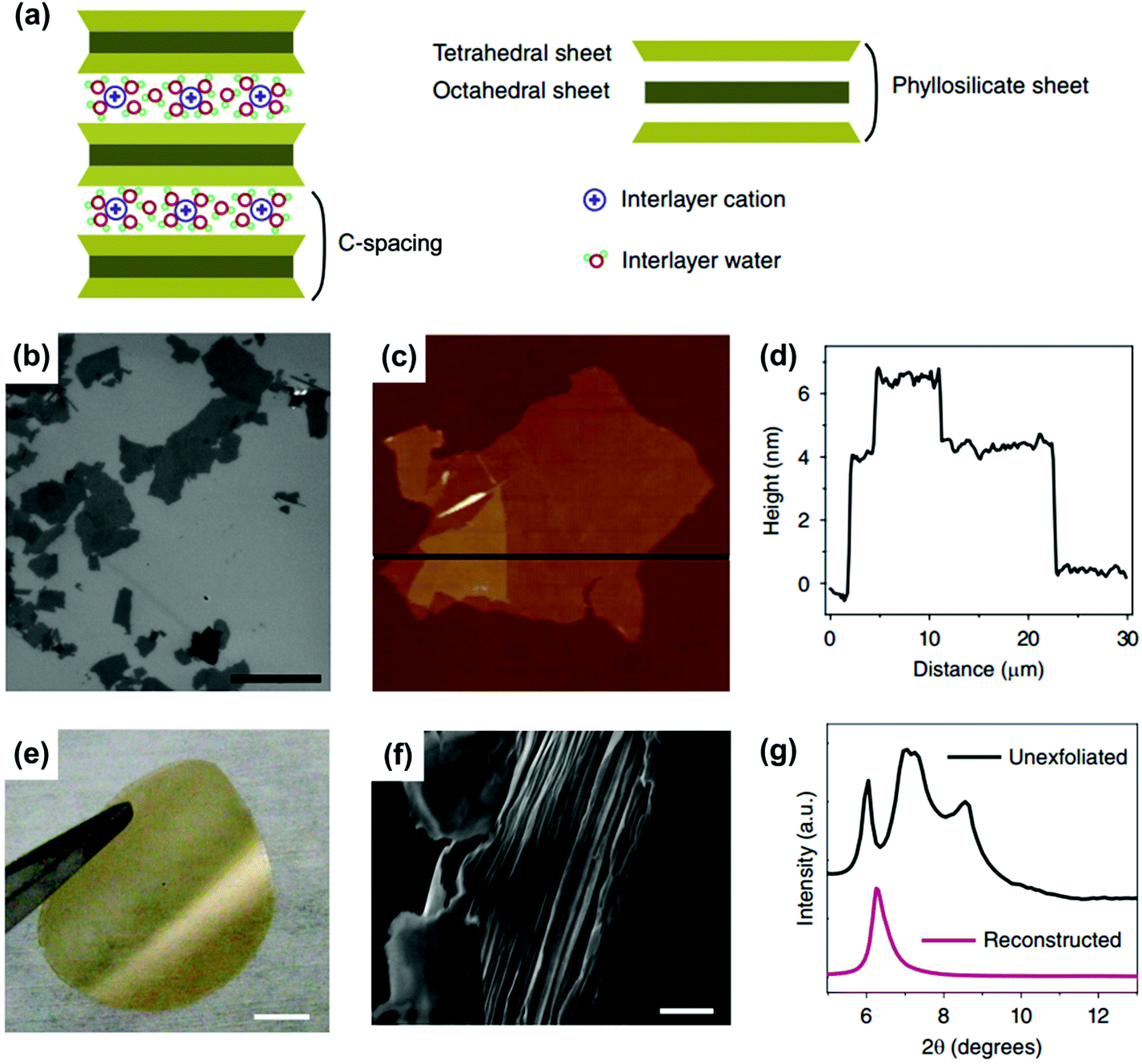 Bioinspired smart asymmetric nanochannel membranes - Chemical Society  Reviews (RSC Publishing) DOI:10.1039/C7CS00688H